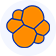 Elastic Search